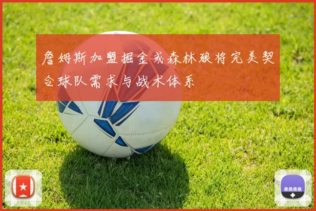 詹姆斯加盟掘金或森林狼将完美契合球队需求与战术体系